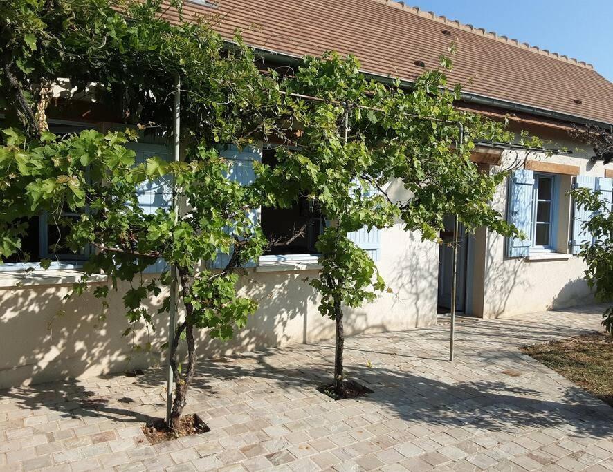 Les Annexes Villa Verdun-sur-le-Doubs Ngoại thất bức ảnh